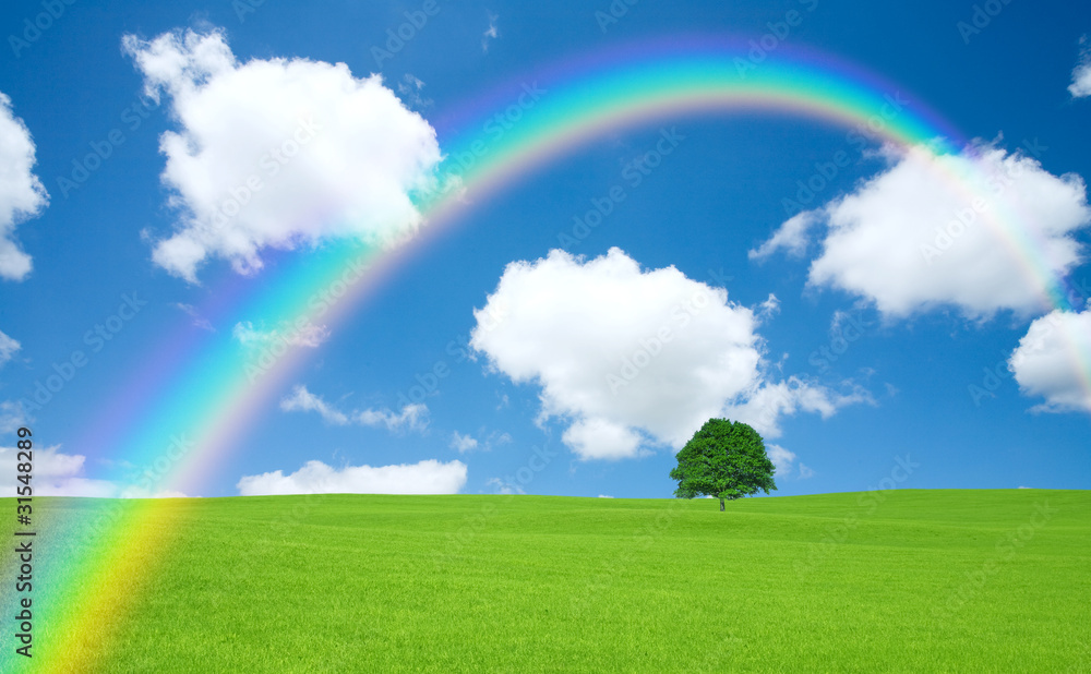 Green field with lone tree and rainbow Green field with lone tree and rainbow
