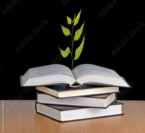 sapling growing from open book