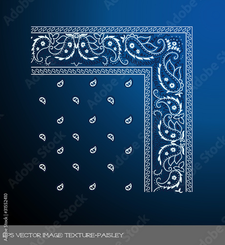 eps Vector image: texture-paisley