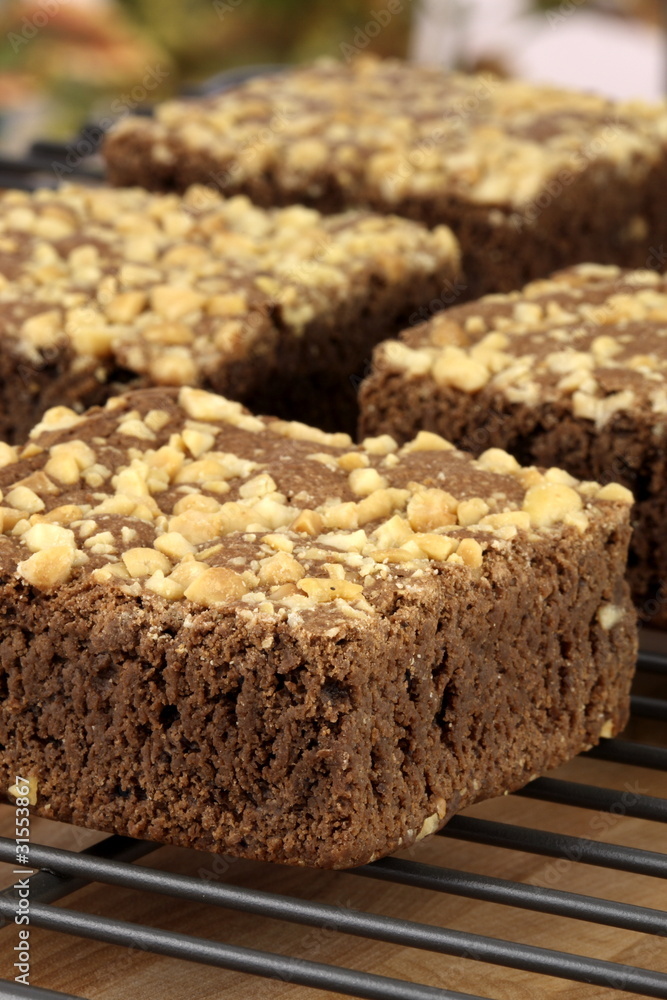chocolate brownies with cracked peanuts on top chocolate brownies with cracked peanuts on top