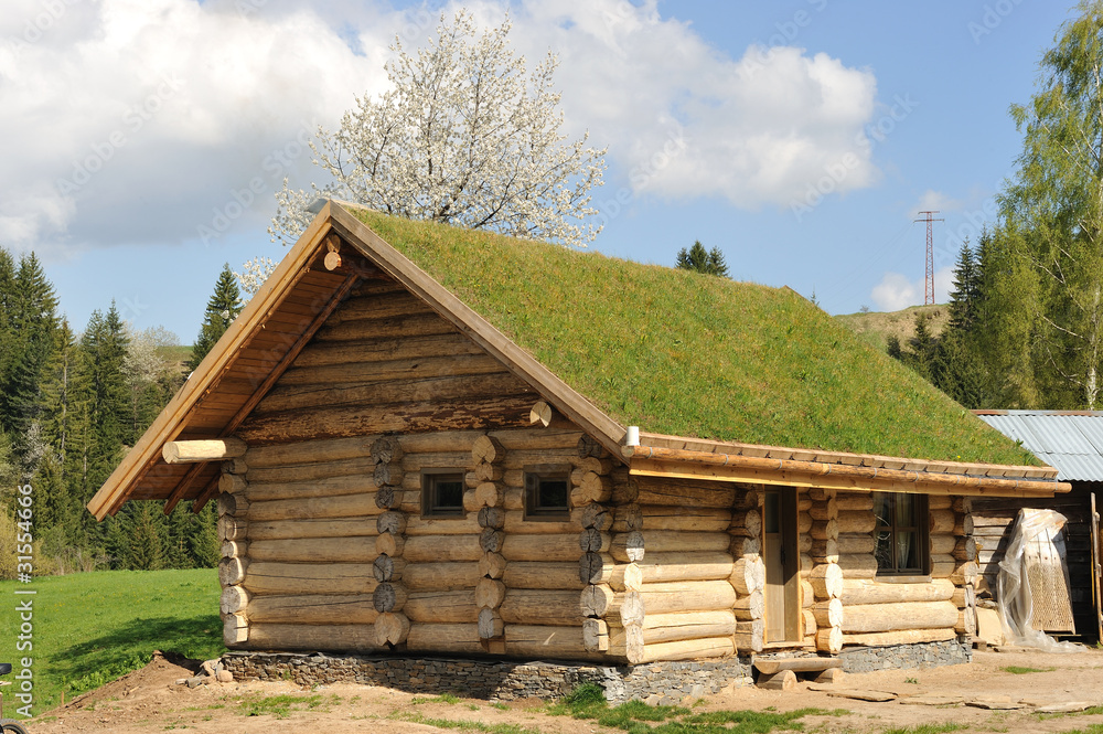 wooden house