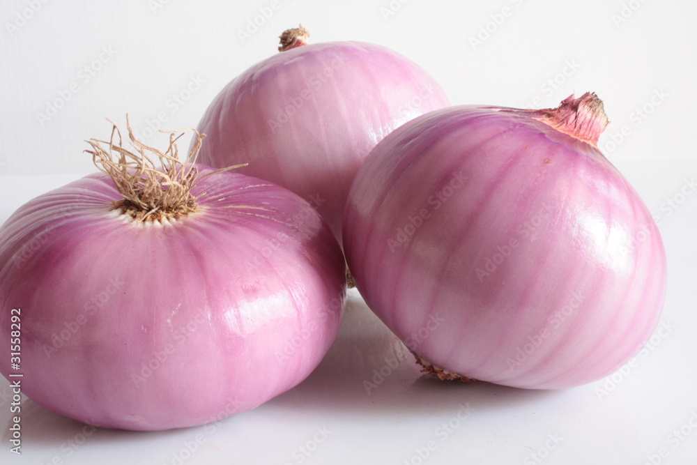 Fototapeta premium onion ,
