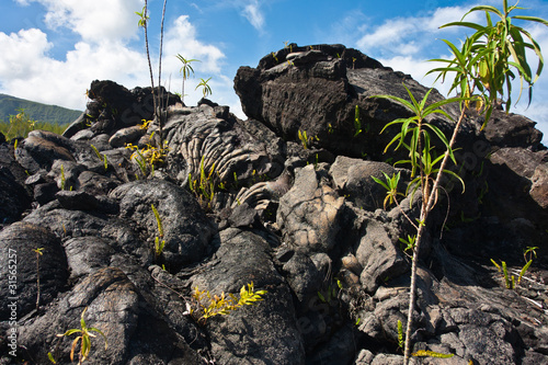 paysage chaotique de laves volcaniques refroidies, Réunion photo