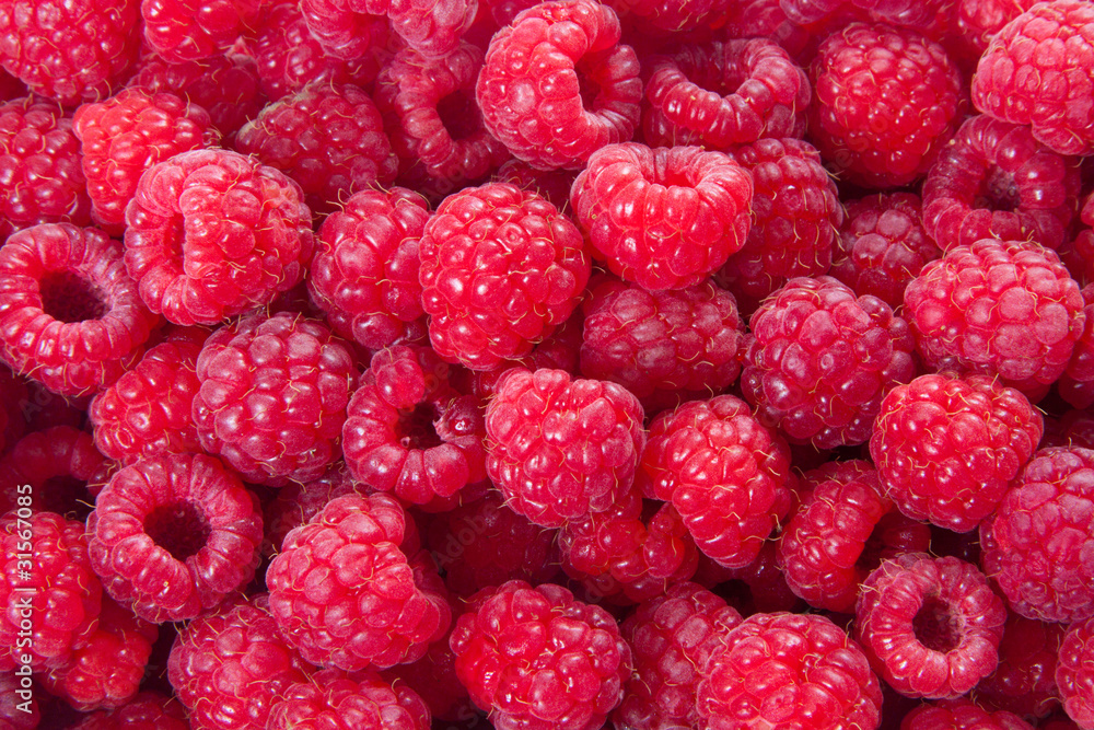 Fresh Raspberries Fresh Raspberries