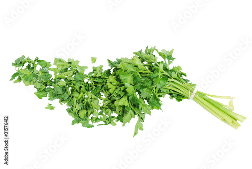 Chopped parsley Isolated on the white background