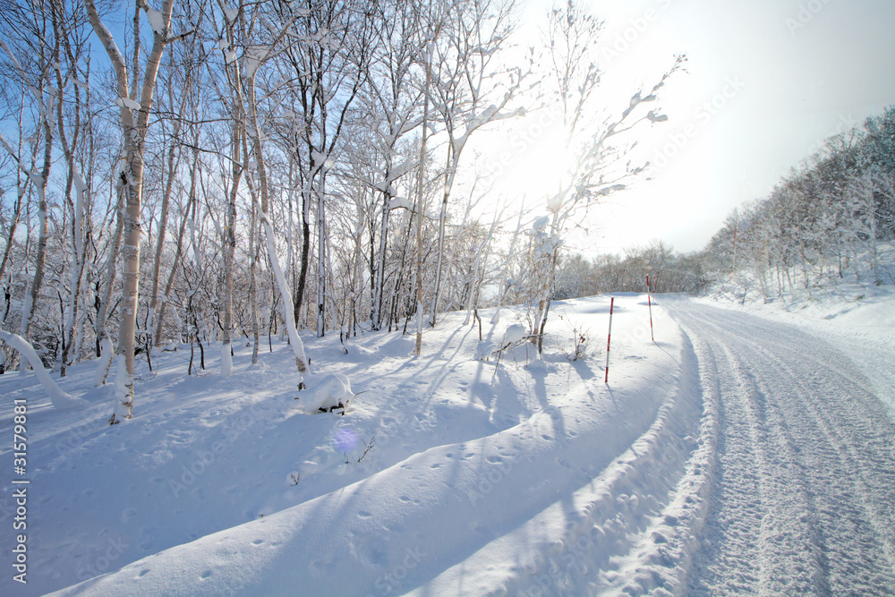 Winter landscape