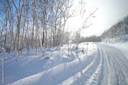 Winter landscape © Pixel Embargo