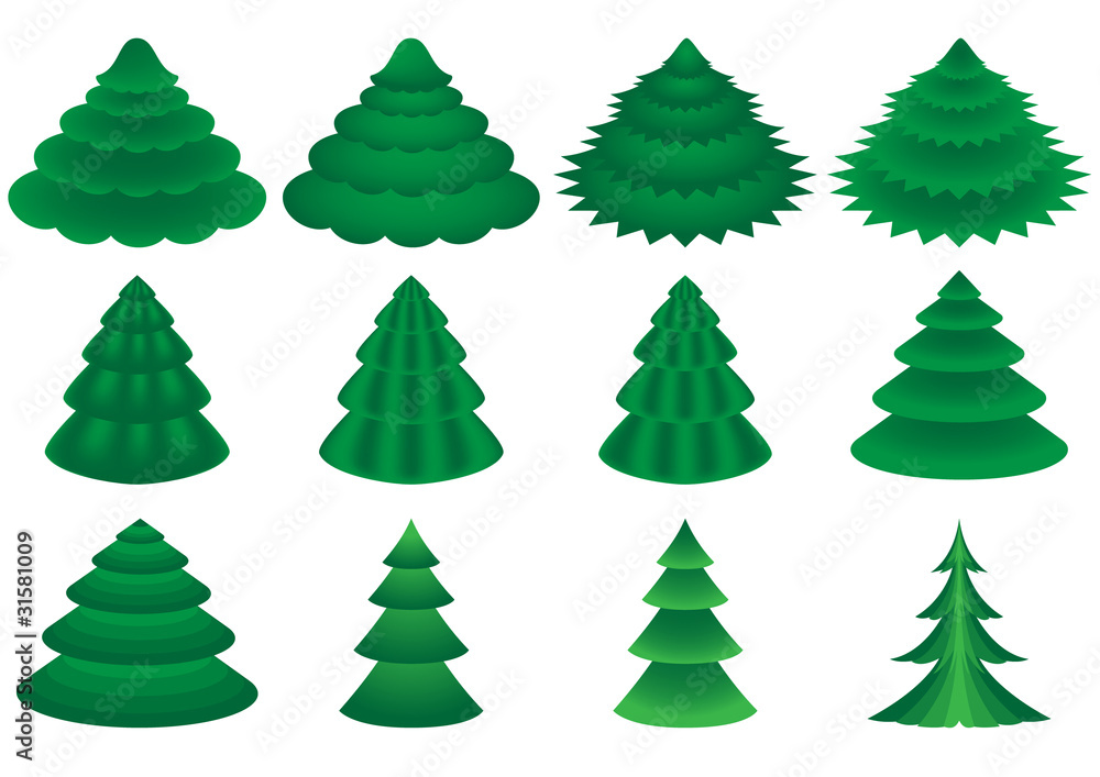 Obraz premium collection of various conifers on white