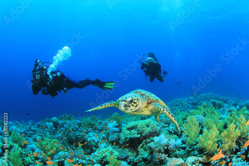 Underwater photographers and Hawksbill Sea Turtle