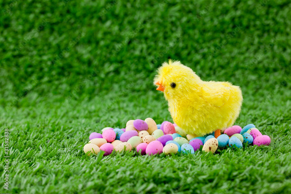 easter eggs on green grass