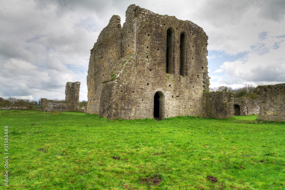 12th Century Ballybeg Priory in Co. Cork - Ireland