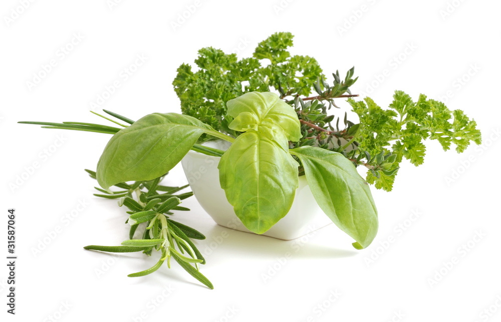 Kraut Kraut