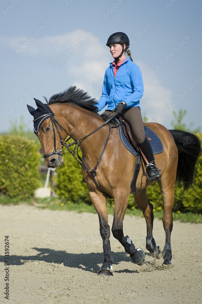 Obraz premium Reiten