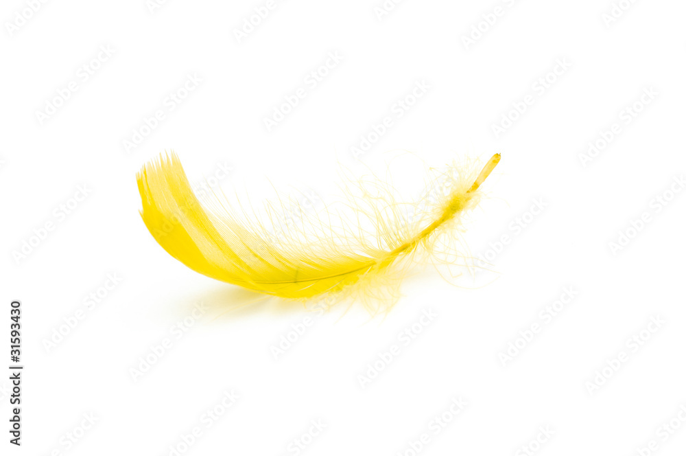 Feather