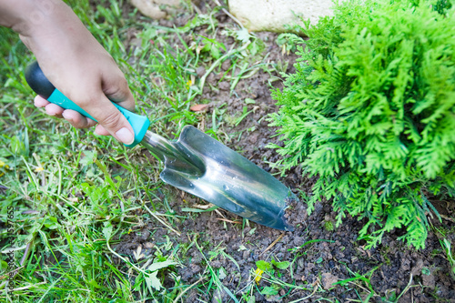 Women hand hold trowel and digging photo