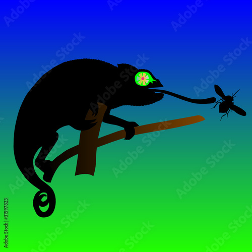 lizard catching a fly vector