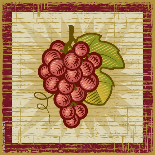 Retro grapes bunch