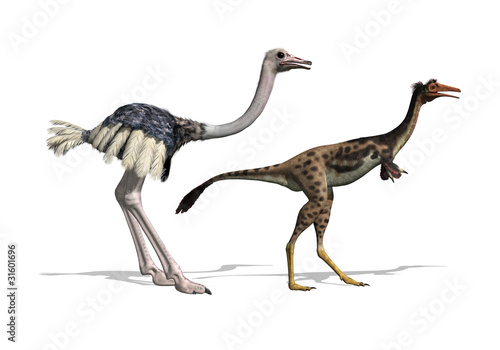 Canvas Print Ostrich and Mononykus Dinosaur Comparision - 3d render
