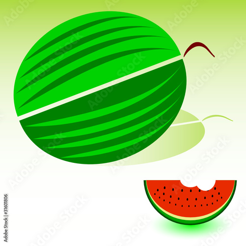 watermelon art illustration