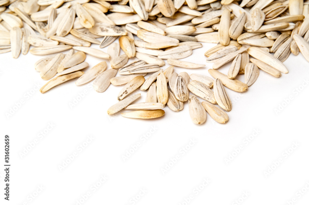 Obraz premium seeds