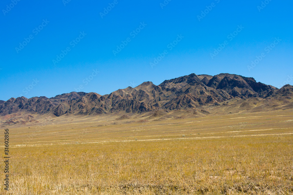 mountain and field landscape