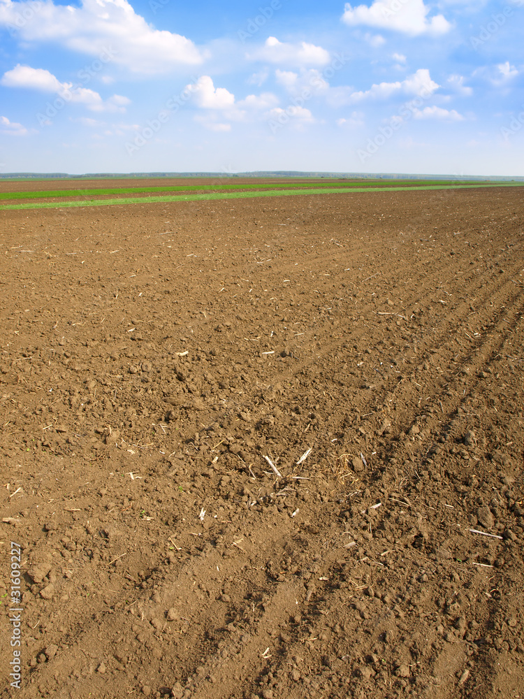 plowed field plowed field