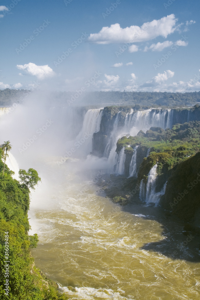Fototapeta premium Iguazu Falls