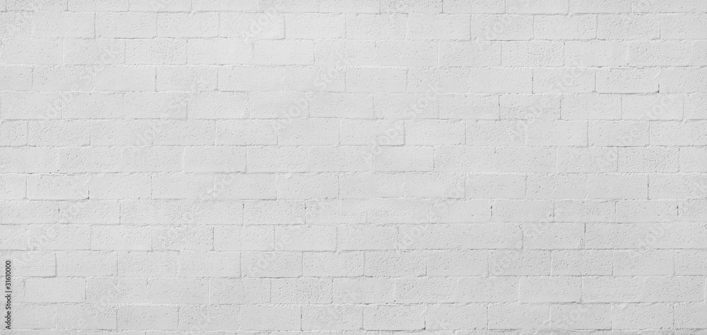 Foto Mur Parpaing Blanc—0002