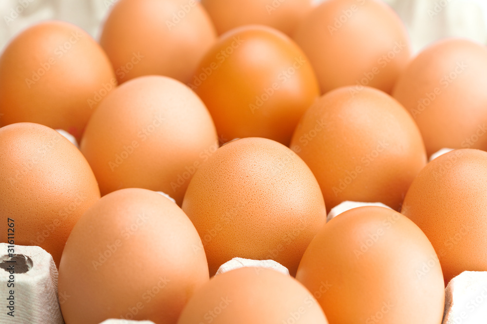eggs in the package isolated on a white eggs in the package isolated on a white