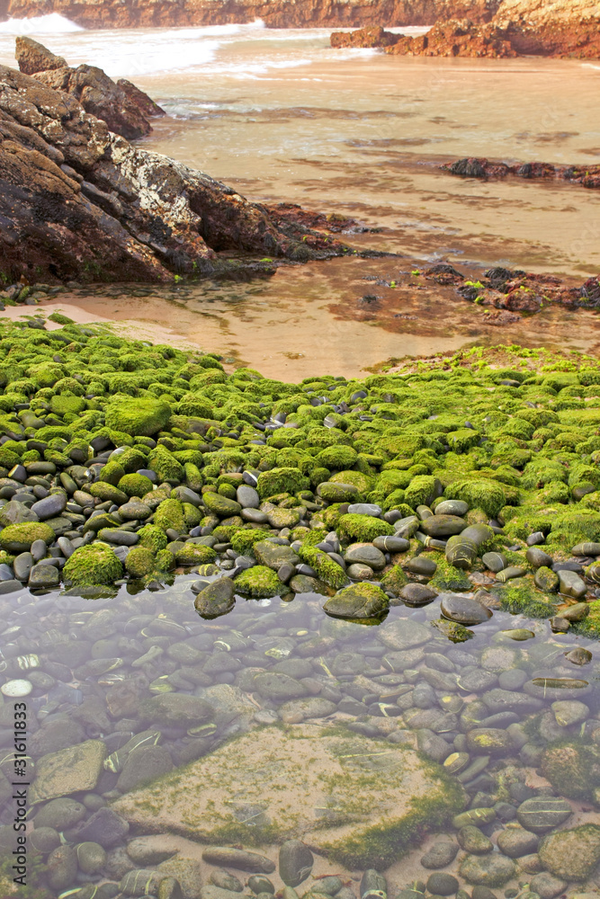 Beach of green stones
