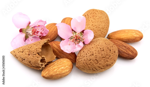 Almond with flowers