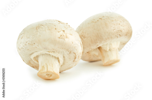 two champignons isolated