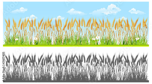 Landscape with wheat