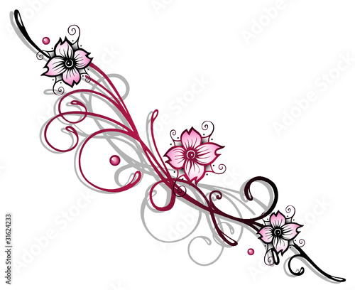 Ranke, Kirschblüten, flora, Blumen, Blüten, cherry blossom