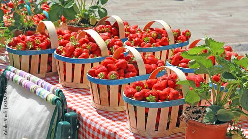 Fraises du marché