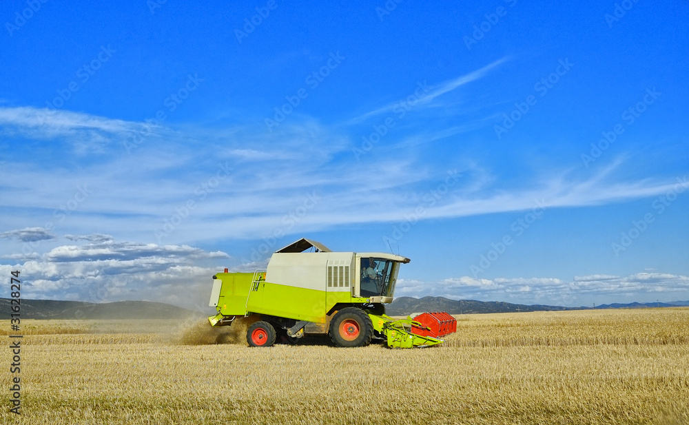 Obraz premium cosechadora