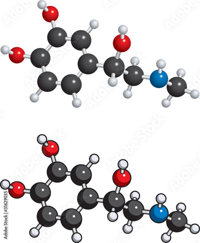 Adrenaline (adrenalin) molecule