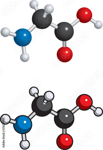 Glycine molecule