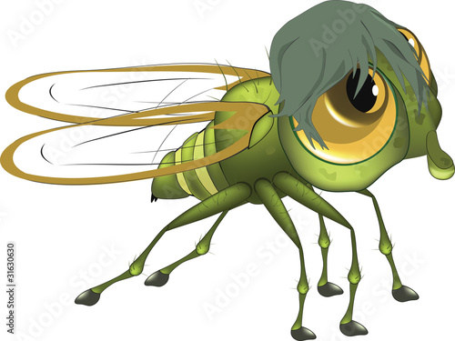 Fly. Cartoon