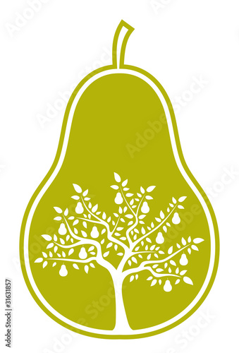 pear tree in pear