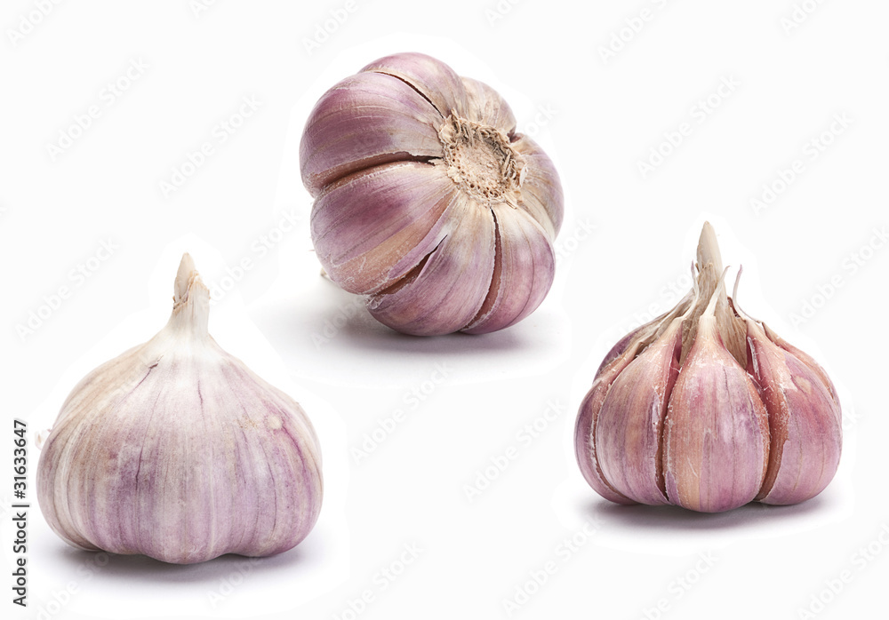 Obraz premium Garlic vegetable