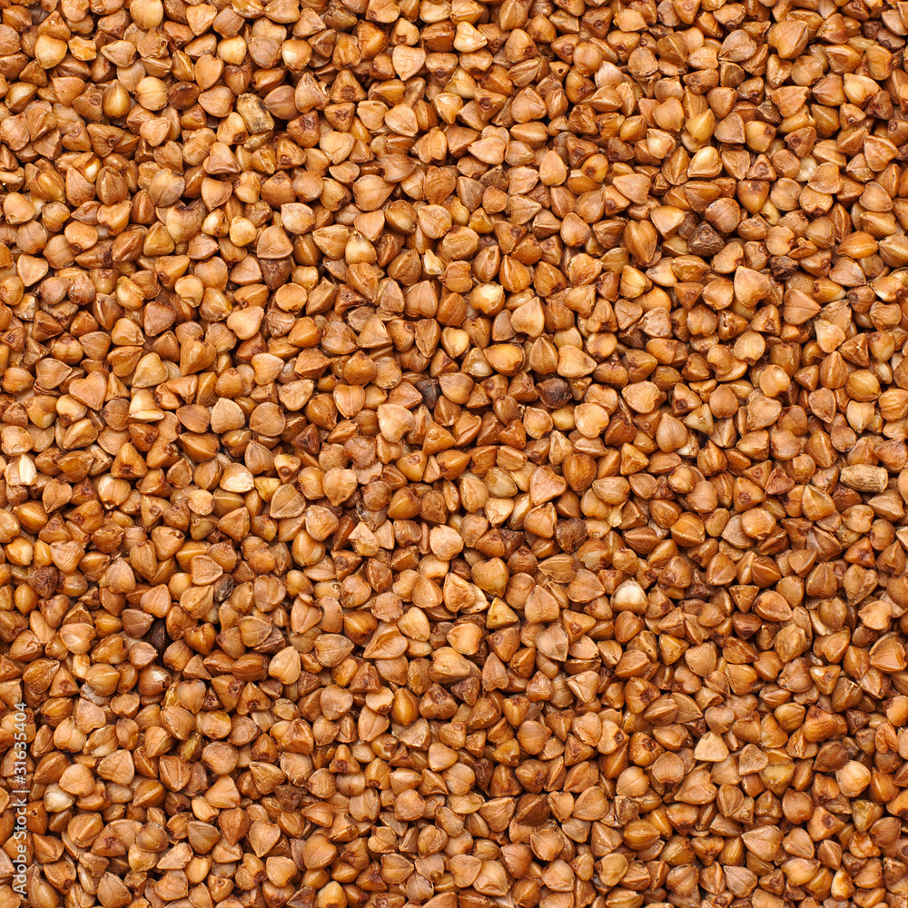 buckwheat texture buckwheat texture