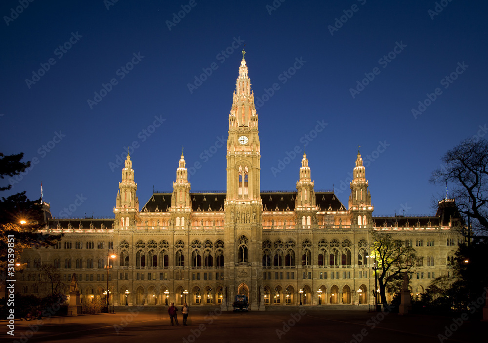 Obraz premium Rathaus, Wien