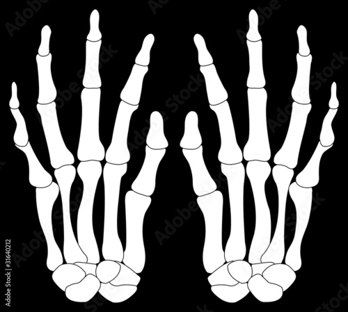 A Pair of Skelton Hands Isolated on Black