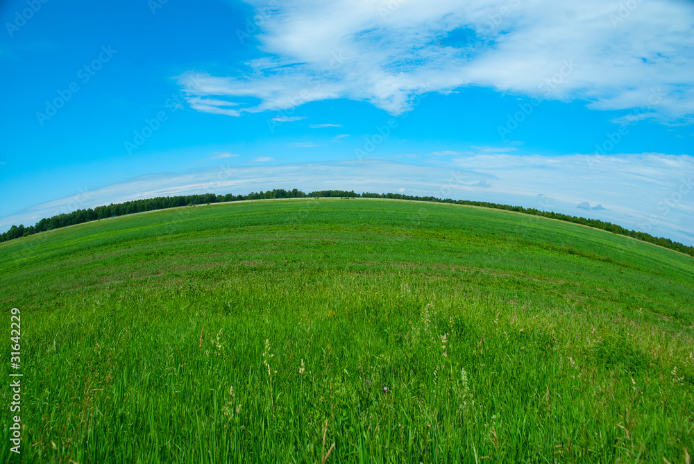 nature background