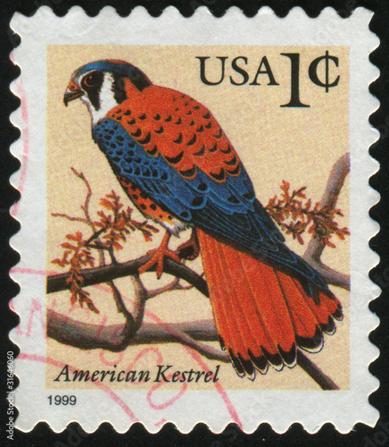 postage stamp