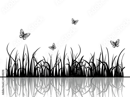 Natur - Landschaft