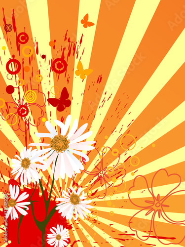 Frühlingszeit - Sommerzeit