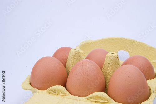 Chiken Eggs Pack