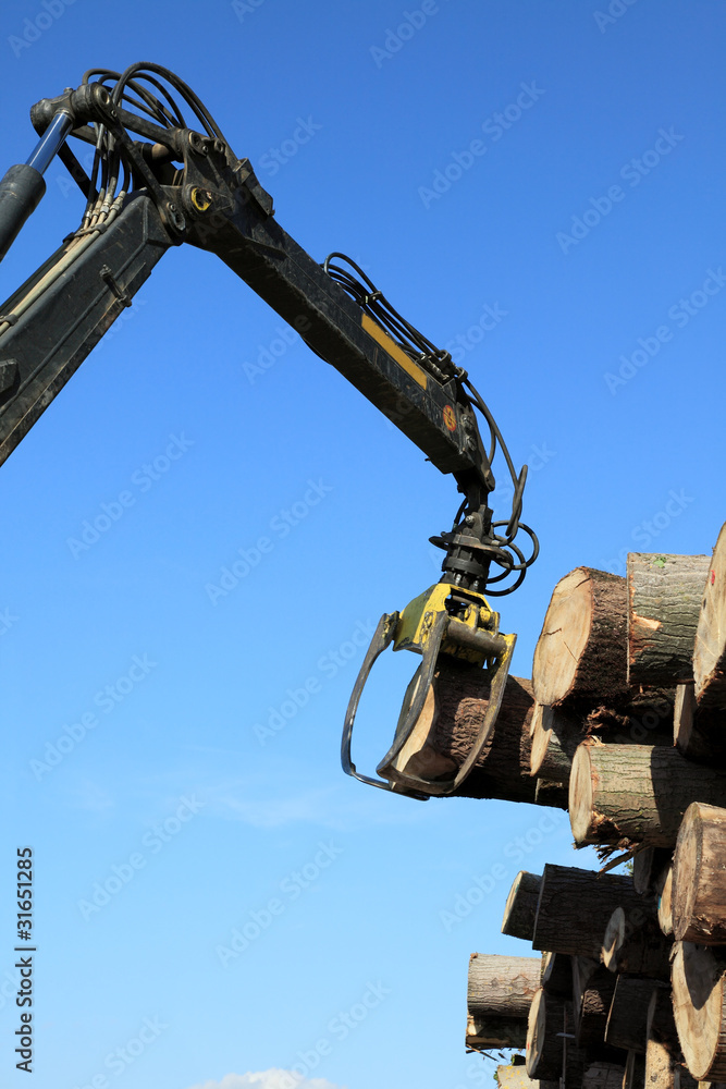 Crane with jaws loading logs onto a stack Crane with jaws loading logs onto a stack